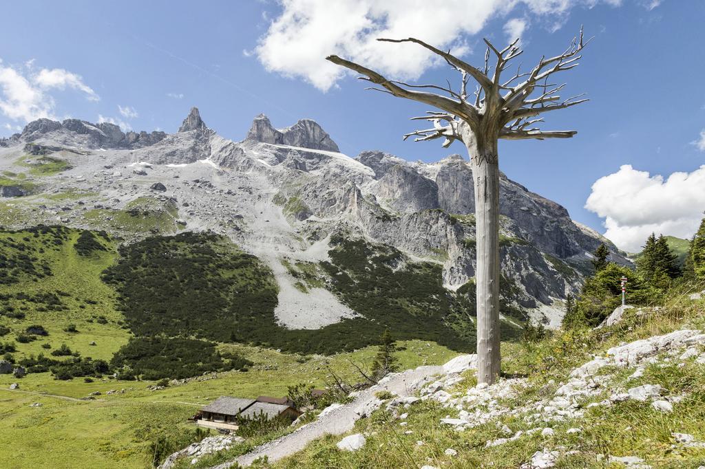 Berg-Spa & Hotel Zamangspitze Sankt Gallenkirch Eksteriør billede